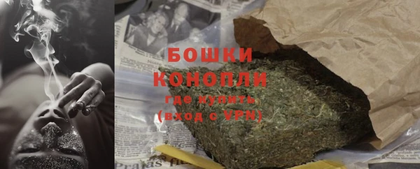 гидра Дмитриев