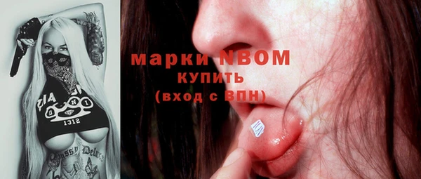 гидра Дмитриев