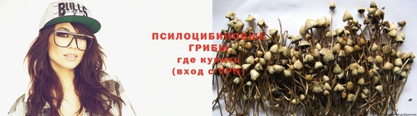 2c-b Тутаев