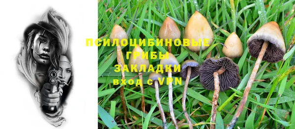 a pvp Дмитров