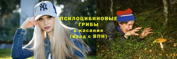 дмт Гусь-Хрустальный