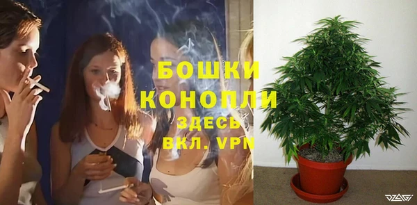 не бодяженный Гусиноозёрск