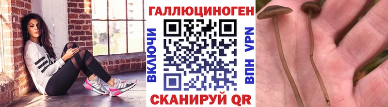 Псилоцибиновые грибы мухоморы  Жирновск 